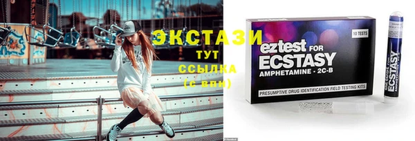 индика Зеленодольск