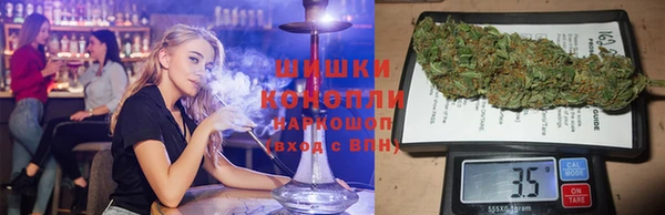 индика Зеленодольск