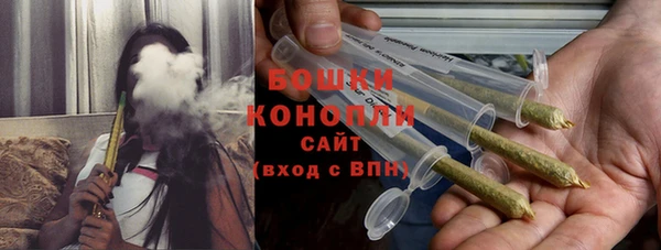 индика Зеленодольск