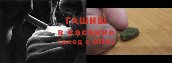 индика Зеленодольск