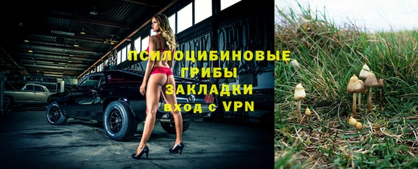 MDMA Premium VHQ Зеленокумск