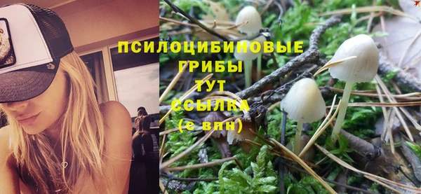 MDMA Premium VHQ Зеленокумск