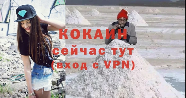 индика Зеленодольск
