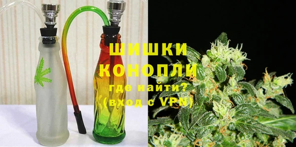 индика Зеленодольск