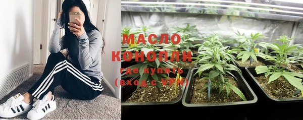 индика Зеленодольск