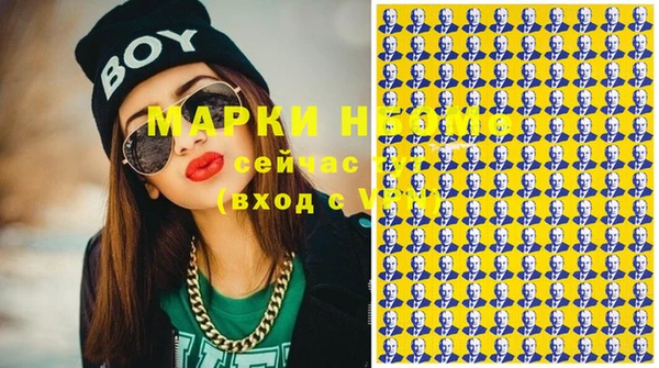 индика Зеленодольск