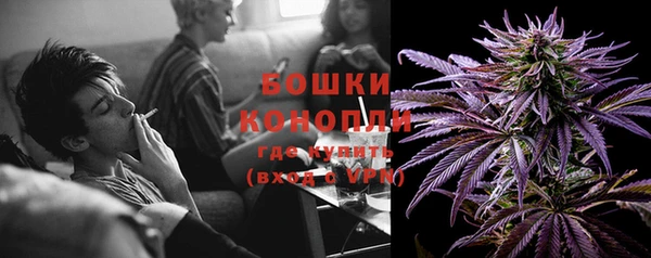 индика Зеленодольск