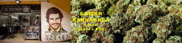 индика Зеленодольск
