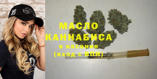 индика Зеленодольск