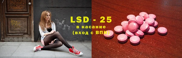 индика Зеленодольск