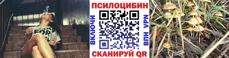 Галлюциногенные грибы Psilocybine cubensis Нязепетровск