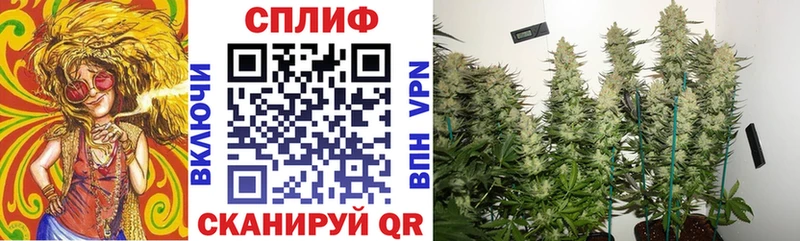 Марихуана Bruce Banner  Купить закладки  Нязепетровск 